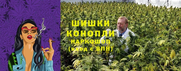 дживик Абинск