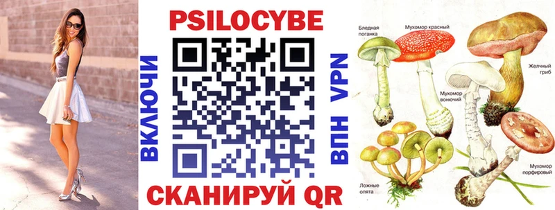 магазин  наркотиков  ОМГ ОМГ онион  Псилоцибиновые грибы ЛСД  Покачи 