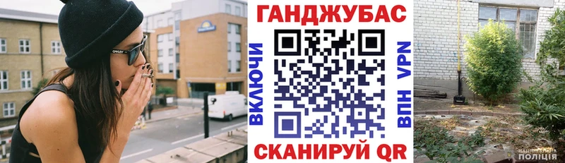 Конопля сатива  где можно купить наркотик  mega ONION  Покачи 